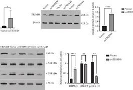 关于[硡{)x甕SR葌臒d麙洪*?p衫彇ox粒≥L4慞?-皈0L